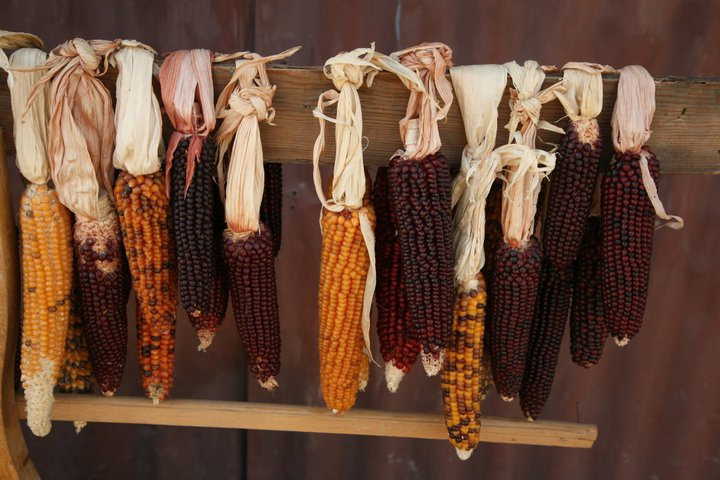 Resim3 Restoran/Resepsiyon
3. Mısırlar. Suriye Kırsalı, 2008
50x75cm
EUR 500